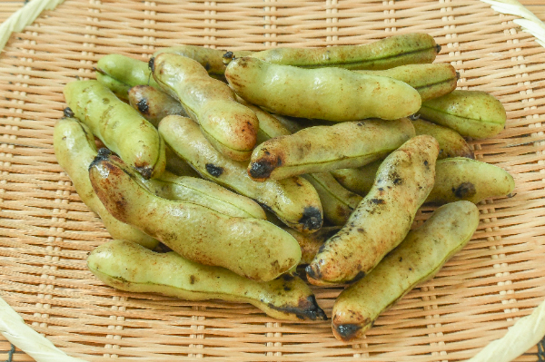 そら豆（BM）1kg