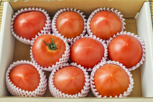 スーパーフルーツトマト（9玉サイズ）