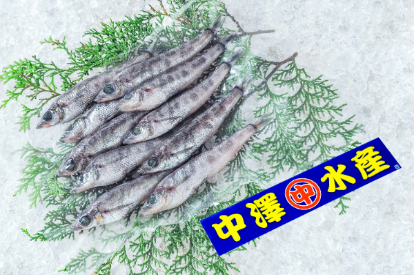 中澤水産　メヒカリ