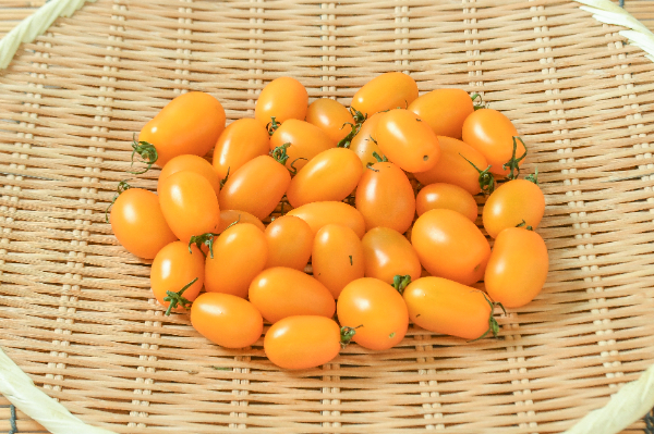 アイコトマト（黄）（S）500gr