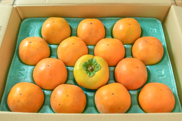 新秋（14玉サイズ）