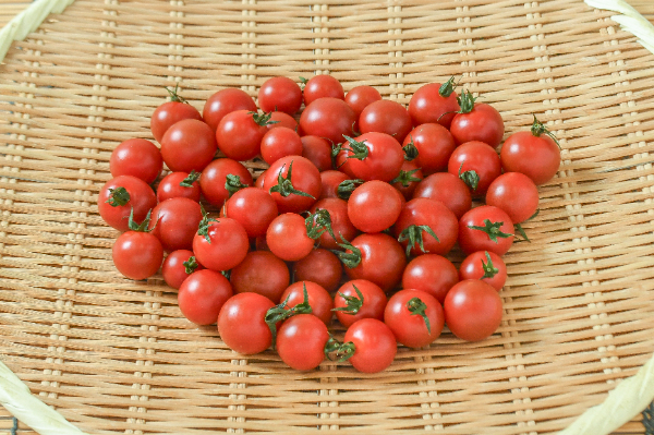 マイクロトマト（黄） 【業務用食材の仕入れなら八面六臂】