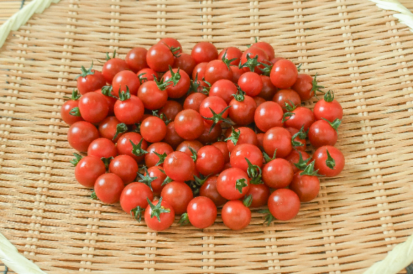 ミニトマト　9kg ミニトマト（麗）（糖度9度）（S） 【業務用食材の仕入れなら八面六臂】