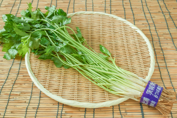 根三つ葉