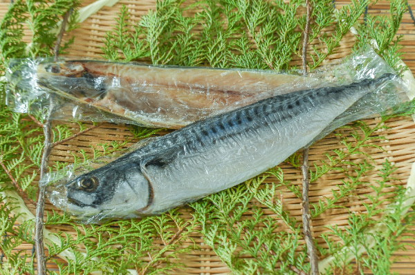 浸透圧低温熟成乾燥さば一夜干し（冷凍）