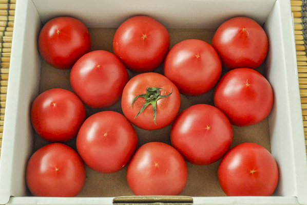 中玉トマト（シュクレトマト）（AM）1kg（静岡県浜松産）