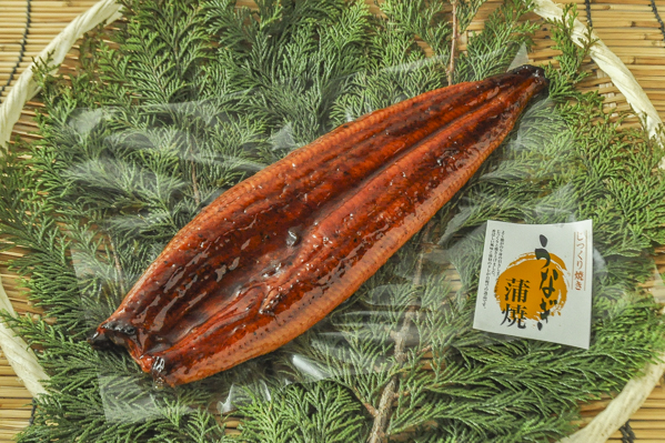 うなぎ蒲焼き　30尾サイズ