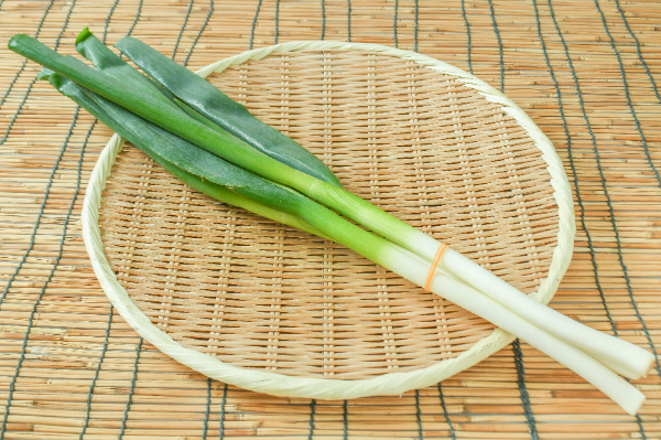 長ねぎ（B細）（加工用）