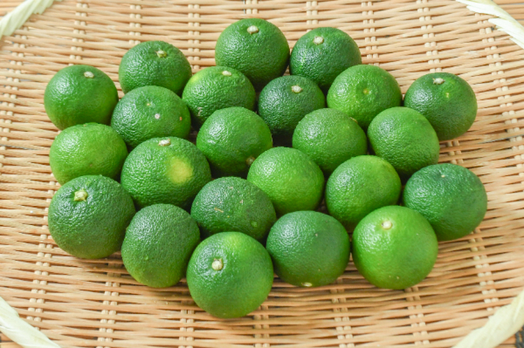 すだち（4L）1kg