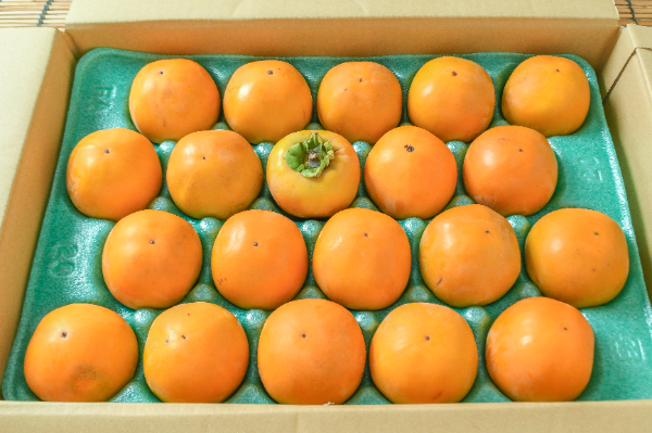 新秋（20玉サイズ）