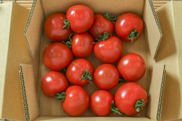 中玉トマト（A2L）