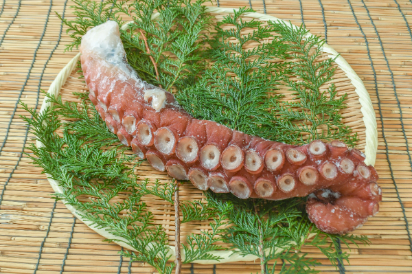 水タコ（北海ダコ） 【業務用食材の仕入れなら八面六臂】