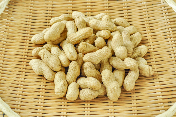 殻付き落花生 八面六臂