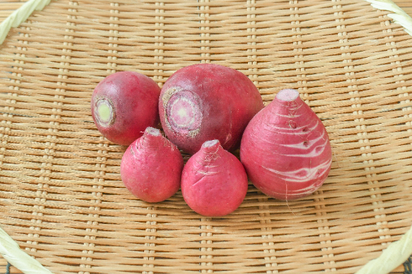 紅くるり大根 【業務用食材の仕入れなら八面六臂】