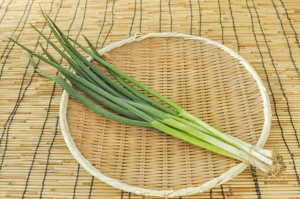 奥村さんの農薬不使用九条ねぎ 細 八面六臂