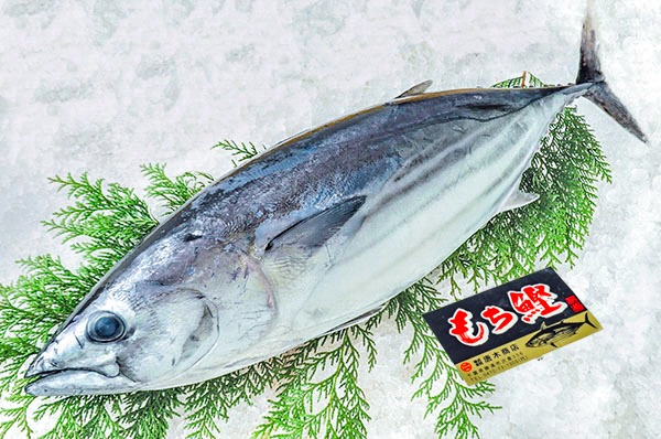 かつお一本釣りカブラ - ルアー用品