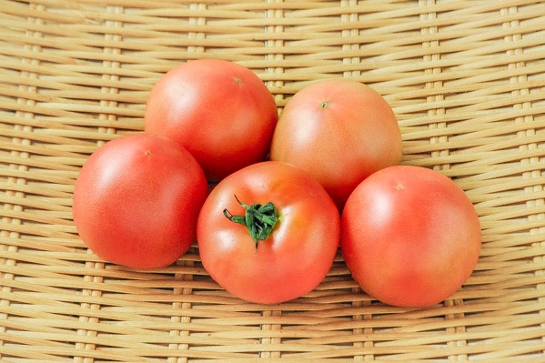 つぶし大玉トマト（加工用）