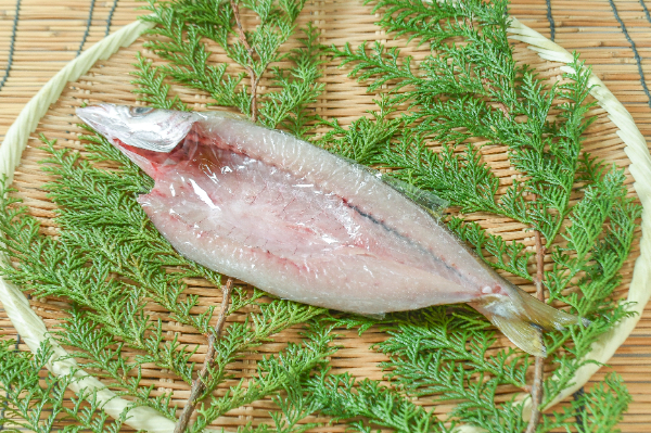 カマス開き干し　250gr