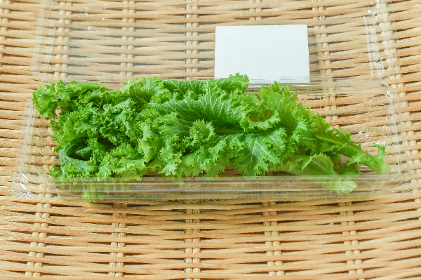 マスタードグリーン