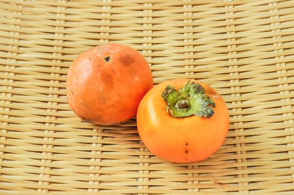 京都　奥村さんの富有柿