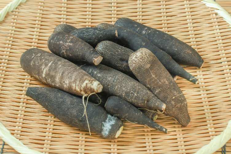 黒長大根（B）750gr