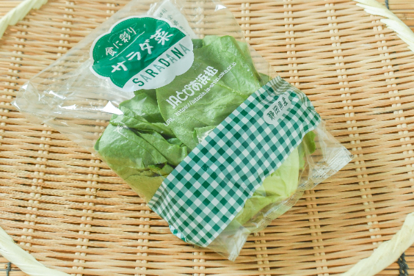 サラダ菜　60gr