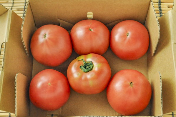 大玉トマト（1ｋｇ）