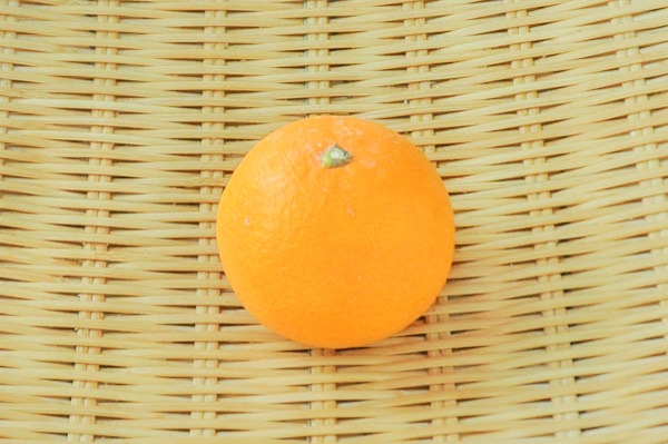 清美オレンジ　1玉