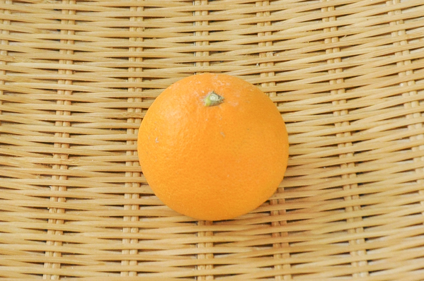 ゴールドナゲットオレンジ