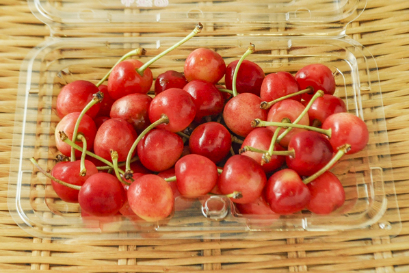 海外販売× さくらんぼ柄 ガレー風ランプ | bahrainasphalt.com