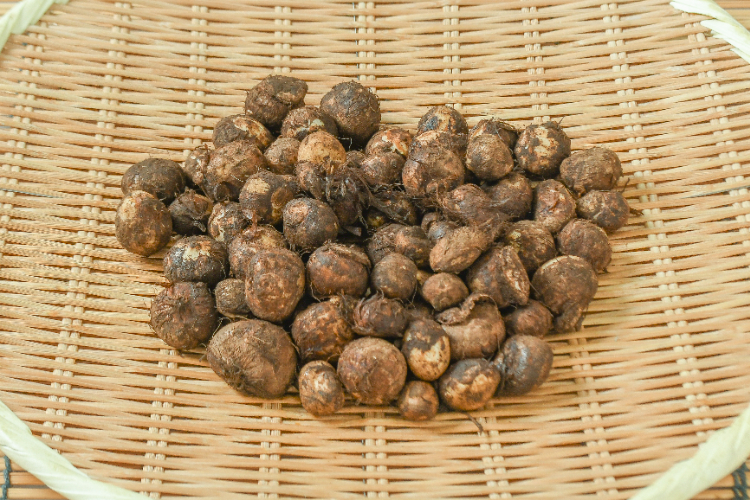 里芋（2S）500gr