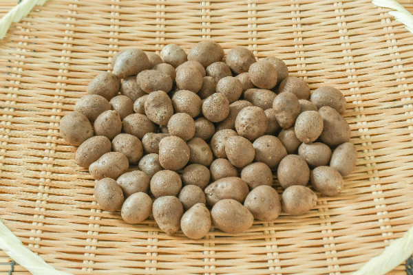 むかご（2L）