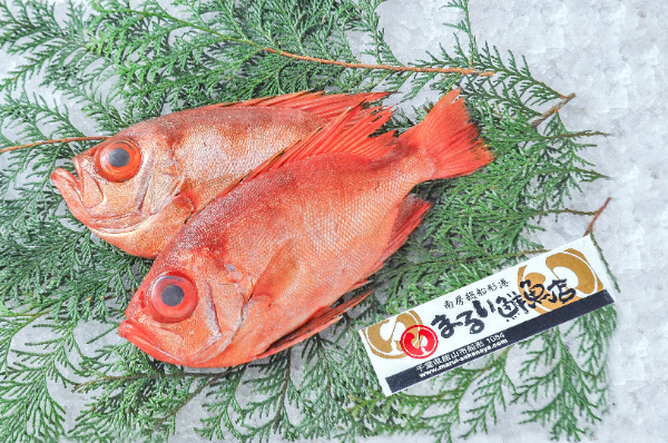 まるい鮮魚店　キントキダイ（千葉県館山市船形産）