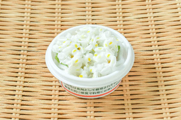 エディブルフラワー（トレニア）（白）