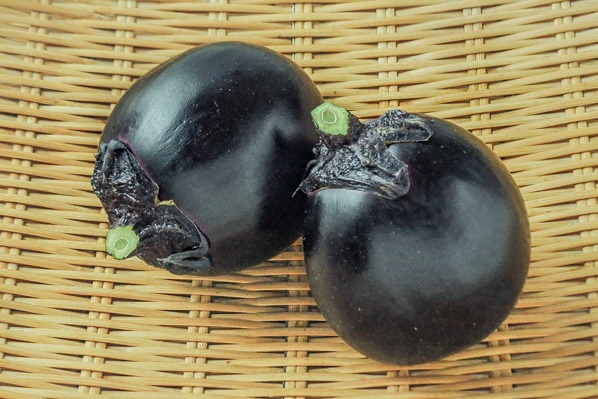 越の丸茄子（11玉サイズ）（新潟県糸魚川産）