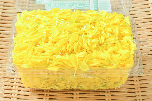 食用菊（黄色）（ばらし）