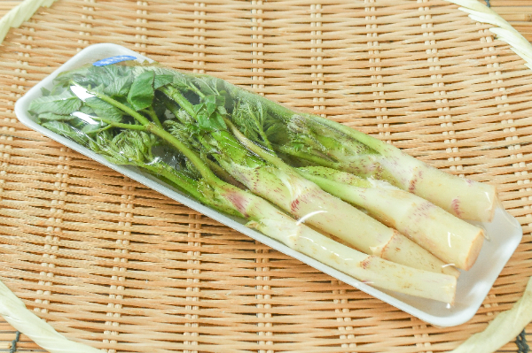 うどの芽