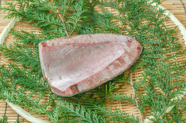 カツオハラモスコップ