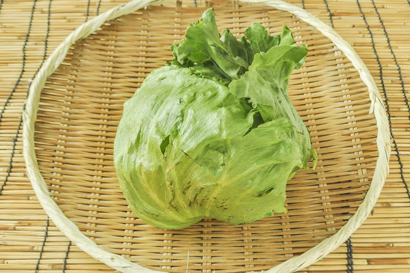 荏原　レタス（3L）（12玉サイズ）