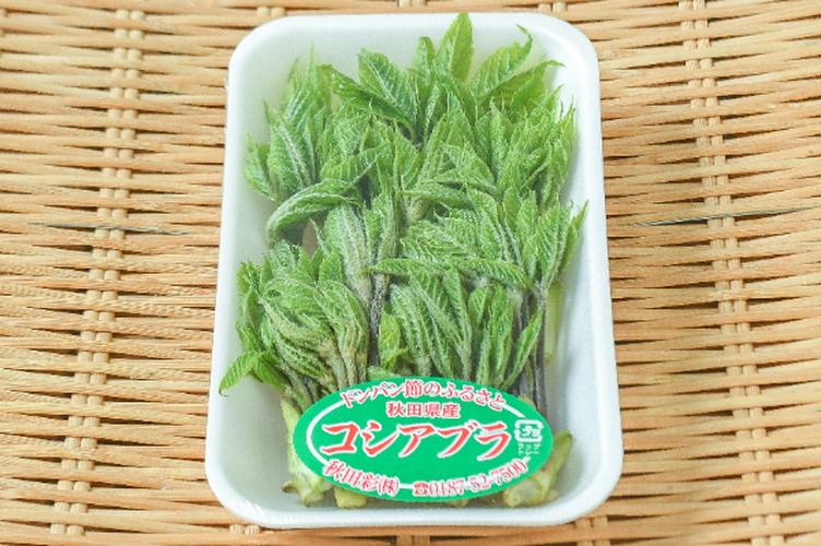 うるいこしあぶら こしあぶら（M） 【業務用食材の仕入れなら八面六臂】