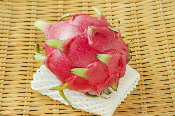 ドラゴンフルーツ 赤 八面六臂