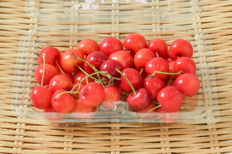 さくらんぼ・チェリー 【業務用食材の仕入れなら八面六臂】