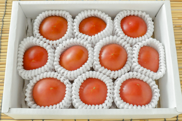 塩トマト　Mサイズ　（箱売り）