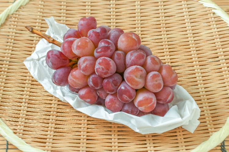 悟紅玉 【業務用食材の仕入れなら八面六臂】
