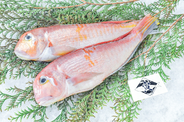 アカアマダイ（赤甘鯛） 【業務用食材の仕入れなら八面六臂】