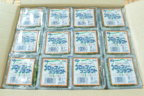ブロッコリースプラウト　箱