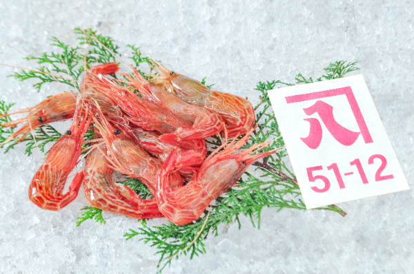 かねはち　シマエビ（静岡県沼津産）