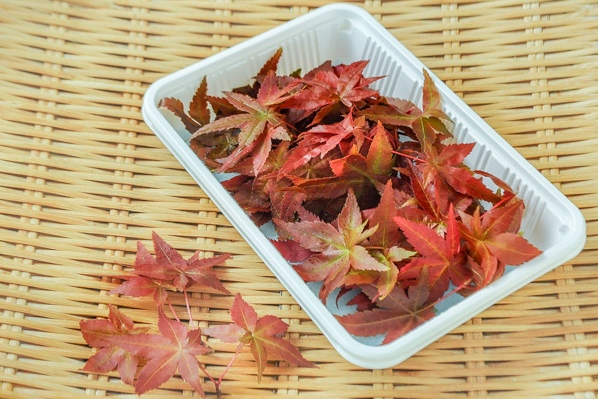 赤もみじ 【業務用食材の仕入れなら八面六臂】