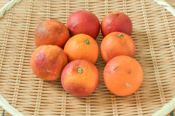 ゴールドナゲットオレンジ 【業務用食材の仕入れなら八面六臂】