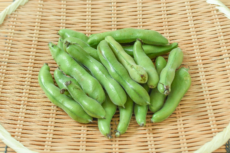 そら豆（S） 【業務用食材の仕入れなら八面六臂】